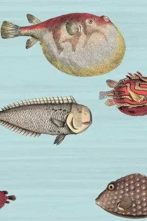 Offre Spéciale Papier peint Acquario