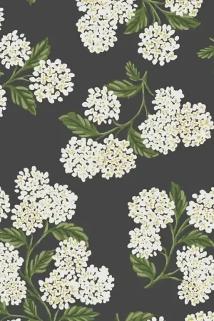 Papier peint Hydrangea Usine Directe