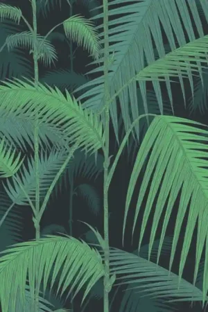 Papier peint Palm Jungle Promotion
