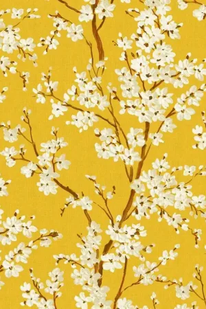Prix Cassé Papier peint Cherry Blossom