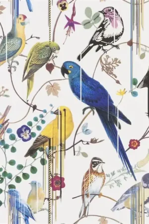 Papier Peint Birds Sinfonia Offre Spéciale