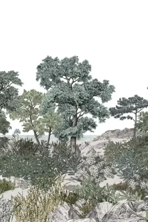 Papier peint panoramique Forêt de Bretagne Seulement Aujourd'hui