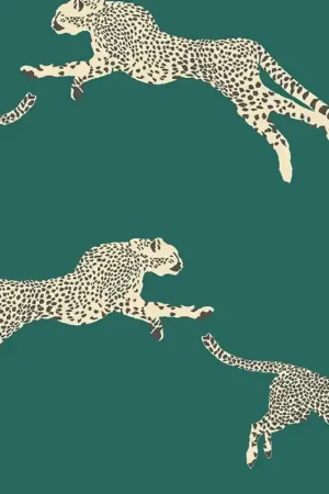 Petit Prix Papier peint Leaping Cheetah