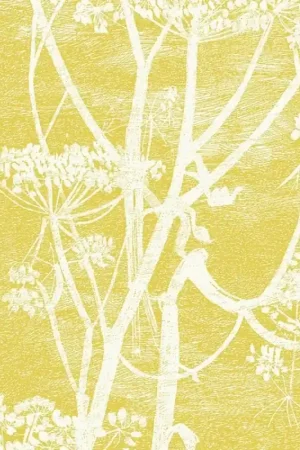 Bon Marché Papier peint Cow Parsley Restyled