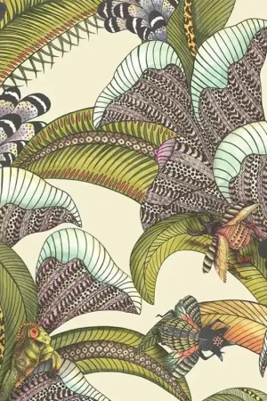 Papier peint Hoopoe Leaves Acheter Direct