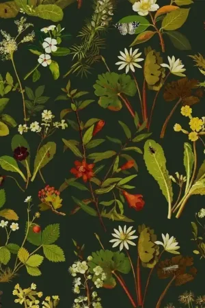 Petit Prix Papier peint Herbarium