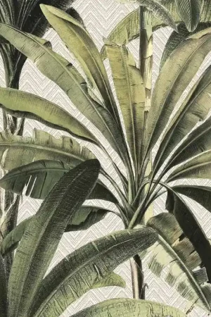 Expédié Aujourd'hui Revêtement mural Palmera