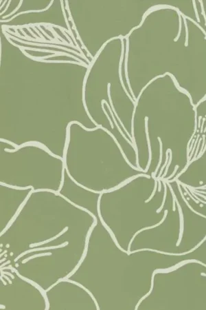 Papier peint Helleborus Promotion