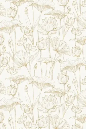 Papier peint Lotus Dernière Chance