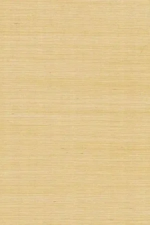 Papier peint Palette Prix Cassé