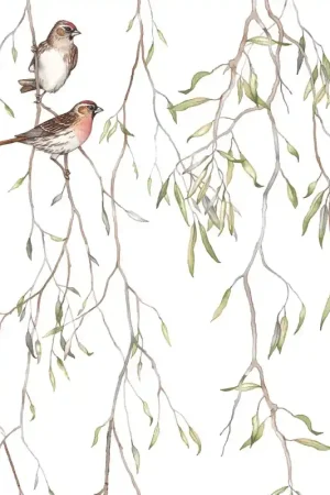 Papier peint panoramique Spring Birds Petit Prix