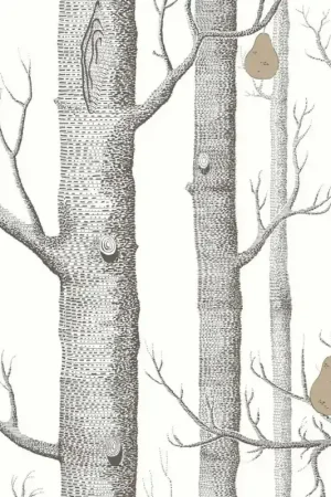 Papier peint Woods and Pears Offre Spéciale