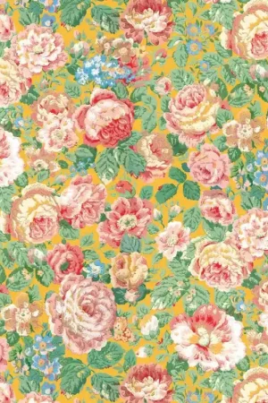 Papier peint Grande Rose Jusqu'à Épuisement Des Stocks