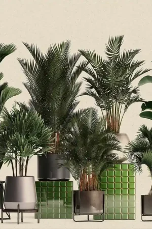 Papier peint panoramique Plant shop Acheter Direct