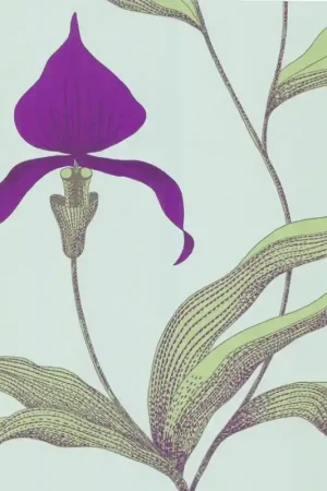 Offre Limitée Papier peint Orchid