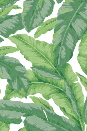 Affaire À Saisir Papier peint Banane