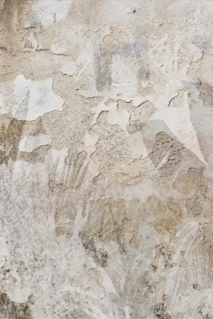 Papier peint panoramique Tropical Patina Wall Soldes
