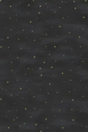 Prix Cassé Papier peint panoramique Les Etoiles