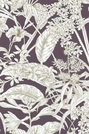 Commander Maintenant Papier peint Orchid Conservatory Toile