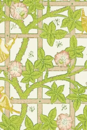 Affaire À Saisir Papier peint Trellis