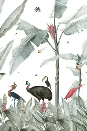 Affaire À Saisir Papier peint panoramique Casela Birds