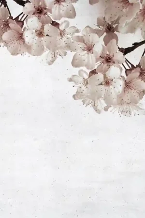 Papier peint panoramique Blossom Big Almond Flower Expédition Rapide