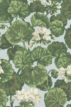 Affaire À Saisir Papier peint Geranium