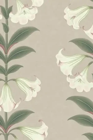Marque Papier peint Angel‘s Trumpet