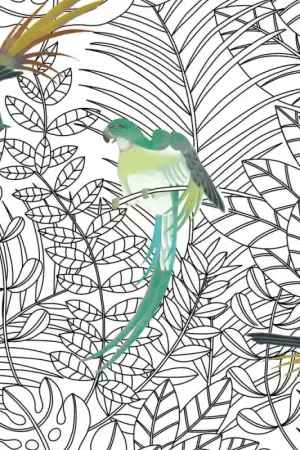 Papier peint Amazone Satisfait Ou Remboursé