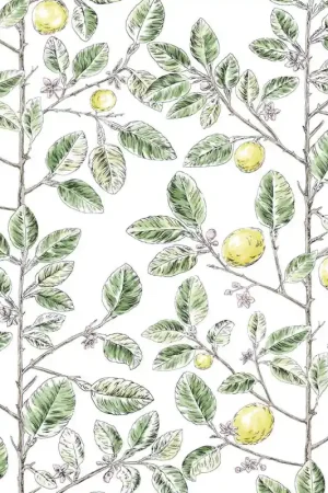 Expédié Aujourd'hui Papier peint Limoncello Toile