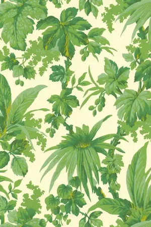 Offre Du Jour Papier peint Tropical