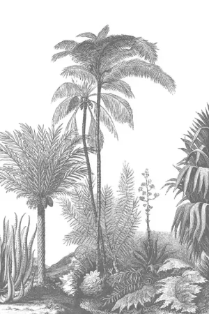 Papier peint panoramique Aloes Petit Prix
