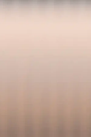 Satisfait Ou Remboursé Papier peint panoramique Moire