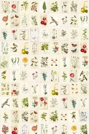 Super Prix Papier peint panoramique Botanical