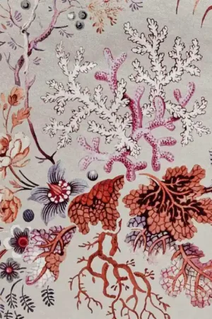 Papier peint V&A Kilburn‘s Coral Acheter En Ligne