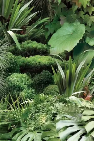 Marque Papier peint Jungle Urbaine Rond