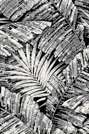Offre Limitée Papier peint Palm Cove Toile