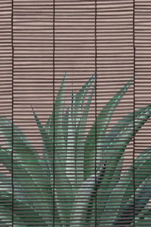Promotion Papier peint panoramique Veranda