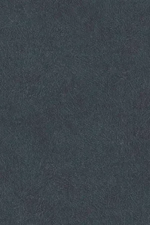 Papier peint Cuero Prix Choc