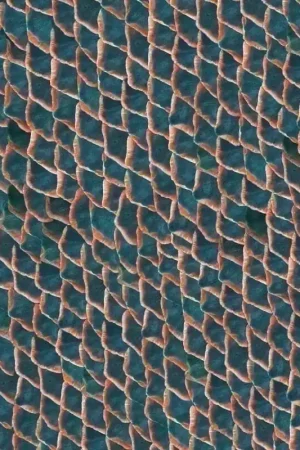 Quantité Limitée Papier peint Fish Skin