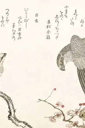 Réduction Papier peint panoramique Une myriade d‘oiseaux