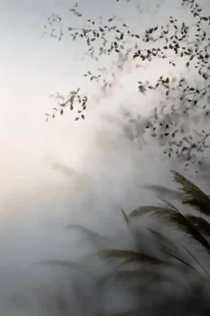 Prix Promo Papier peint panoramique Pampas dans la Brume