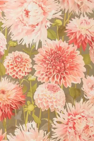 Vente Flash Papier peint Dahlia