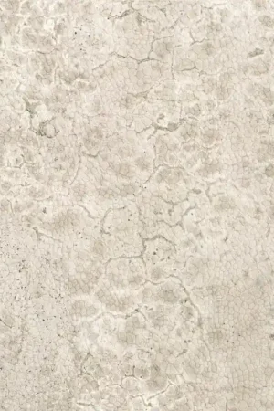 Papier peint Moon Produit De Marque