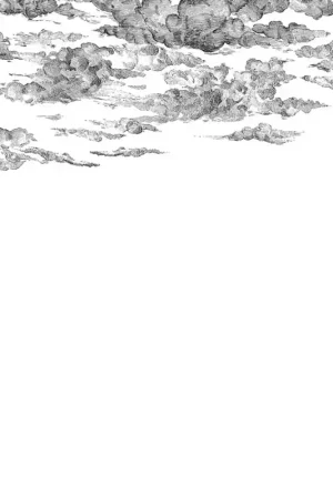 Papier peint panoramique Cotton Skies Paiement Sécurisé