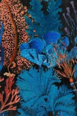 Achetez Aujourd'hui Papier peint panoramique Coral Reef