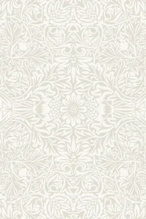 Papier peint Ceiling Authentique