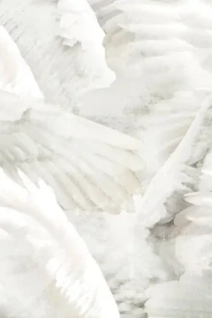 Offre Du Jour Papier peint panoramique Wings
