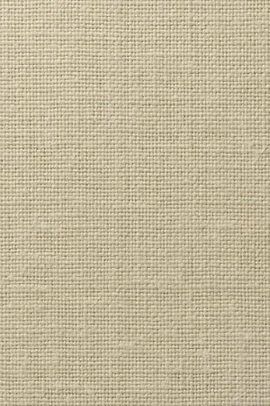 Revêtement mural Golden Flax Top Vente