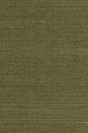 Revêtement mural Colorful Trunk - Natural Wallcoverings III Remise